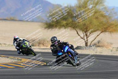 media/Feb-04-2023-SoCal Trackdays (Sat) [[8a776bf2c3]]/Turn 4 (Tree of Life 2pm)/